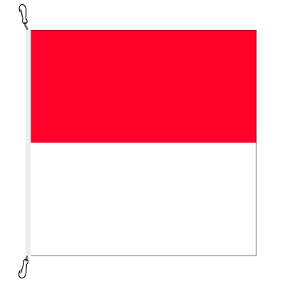 Fahne, Kanton eingesetzt Solothurn, 58 x 58 cm