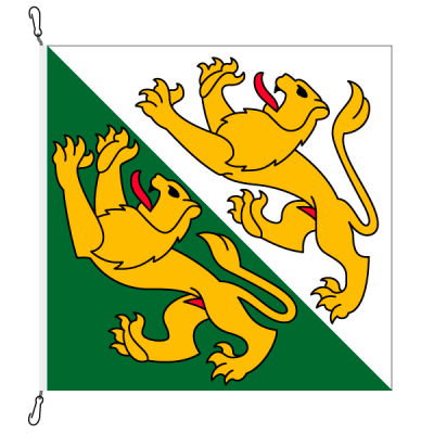 Fahne, Kanton eingesetzt Thurgau, 58 x 58 cm