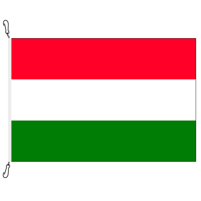 Fahne, Nation bedruckt, Ungarn, 100 x 150 cm