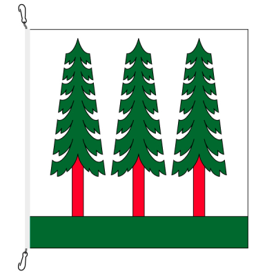 Gemeindefahne, bedruckt, Wald (ZH), 78 x 78 cm