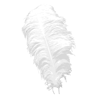 Plume d&amp;#39;autruche pour chapeau, blanche, longueur environ 60 cm
