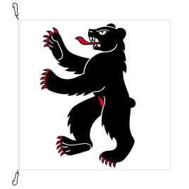 Drapeau, imprim&#233;