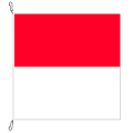 Fahne, Kanton eingesetzt Solothurn, 58 x 58 cm