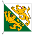 Fahne, Kanton eingesetzt Thurgau, 100 x 100 cm